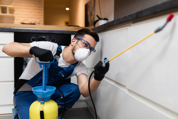 Best Mosquito Control Services  in Bowling Green, KY