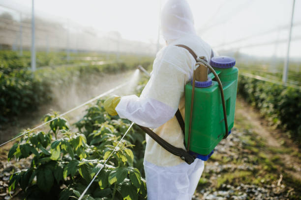  Bowling Green, KY Pest Control Pros